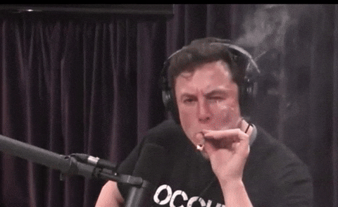 WOW! Is Elon Musk About to Save TikTok?
